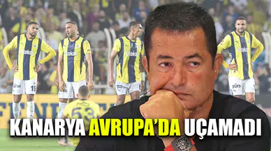 Kanarya Avrupa'da uçamadı