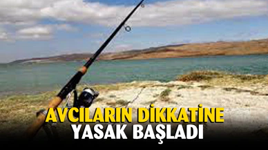 Afyon'da sazan balığı ve türleri için avlanma yasağı başladı