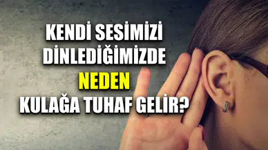 Ses kaydımızı dinlediğimizde sesimizi neden kendi duyduğumuzdan farklı algılarız?