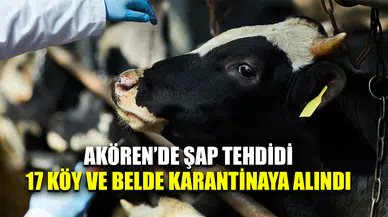 Akören'de şap tehdidi: 17 köy ve belde karantinaya alındı