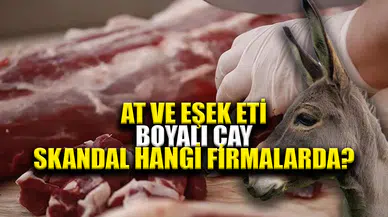 At ve Eşek eti skandalı devam ediyor