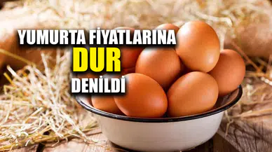 Yumurta fiyatlarına Cumhurbaşkanı Kararı ile müdahale