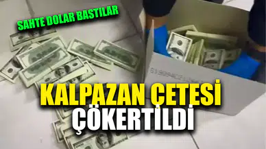 Sahte dolar basmak için matbaa kurdular