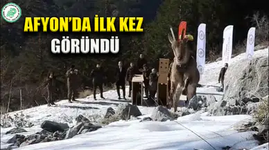 Afyon'da İlk Kez Göründü