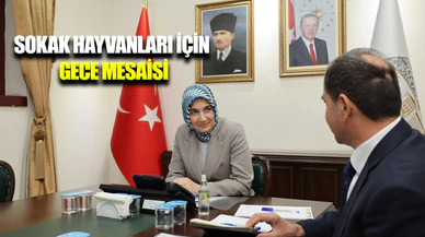 Vali Yiğitbaşı, Sokak Hayvanları Değerlendirme Toplantısı’na katıldı