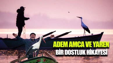 Yaren Leylek 14. kez göçten döndü