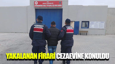 Afyonkarahisar Jandarması suçlulara göz açtırmıyor