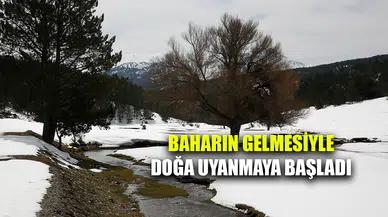 Baharın gelmesiyle doğa uyanmaya başladı