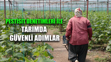 Afyonkarahisar’da Hasat Öncesi Pestisit Denetimleri devam ediyor