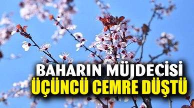 Baharın müjdecisi üçüncü Cemre toprağa düştü