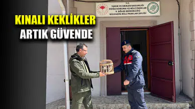 Kolluk Devriyesinde Avcılar Yakalandı