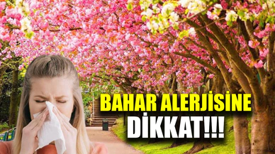Bahar Alerjisi Nedir?