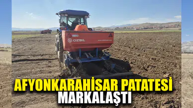 Afyon çiftçisinin göz bebeği patates