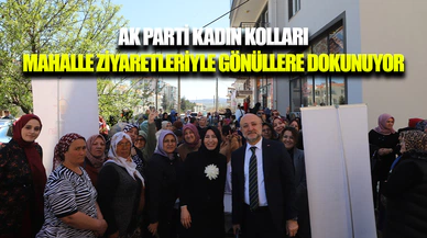 AK Parti Afyonkarahisar İl Kadın Kolları “Üye Buluşmaları”na başladı
