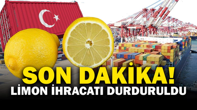 Son Dakika! Ticaret Bakanlığı açıkladı: Limon ihracatı durduruldu