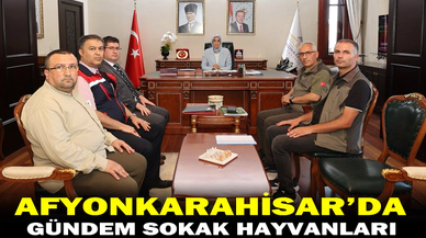 AFYONKARAHİSAR'DA SOKAK HAYVANLARIYLA İLGİLİ DEĞERLENDİRME TOPLANTISI GERÇEKLEŞTİRİLDİ