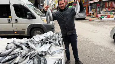 Afyon’da Palamut Fiyatı 75 TL’ye Düştü! 4 Tanesi 300 TL’den Satılıyor