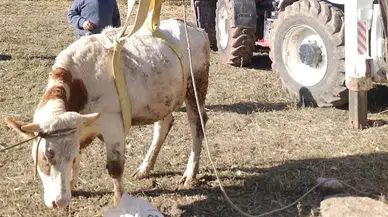 Afyon’da Kuyuya Düşen Büyükbaş Hayvan İçin Ekipler Seferber Oldu!