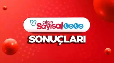 Çılgın Sayısal Loto Sonuçları Açıklandı! 19 Ekim 2026 Kazanan Numaralar