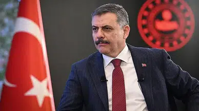 Bakan Çiftçi açıkladı: Sokak köpekleri için 5 gün kaldı!