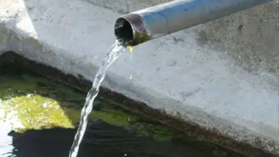 Köy Çeşmesinden Su İçen Adam Dehşeti Yaşadı... Doktorlar Bile İlk Kez Gördü!