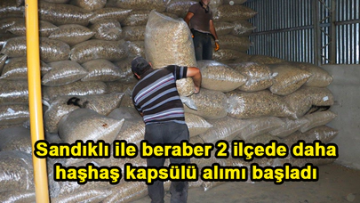Sandıklı ile beraber 2 ilçede daha haşhaş kapsülü alımı başladı