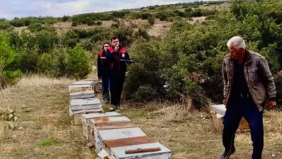 Başmakçı’da arıcıların kovanları kayıt altına alınıyor