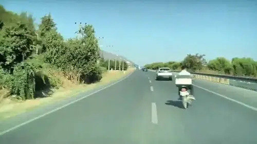 Afyon Karayolunda Yola Aniden Fırladı! Sürücünün Refleksi Kurtardı!