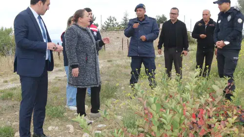 Sinanpaşa’da aronya üretimine yakın takip: Kaymakam Miroğlu aronya bahçesinde inceleme yaptı