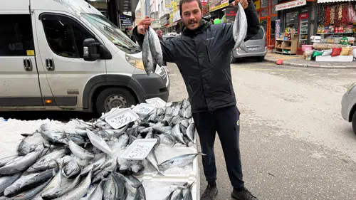 Afyon’da Palamut Fiyatı 75 TL’ye Düştü! 4 Tanesi 300 TL’den Satılıyor