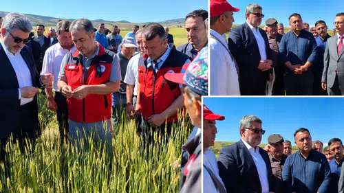 Afyon’da 1.012 Çiftçinin Beklediği Ödeme Hesaplara Yatırılıyor: İşte Ödeme Yapılacak İlçeler