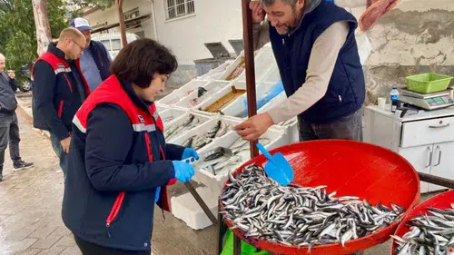 Dazkırı’da balık satış noktalarında gıda güvenliği denetimi