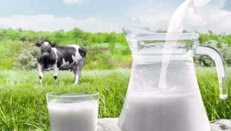 Resmi Gazete'de yeni dönem! Süt sektöründe çalışanları ilgilendiren karar yayımlandı