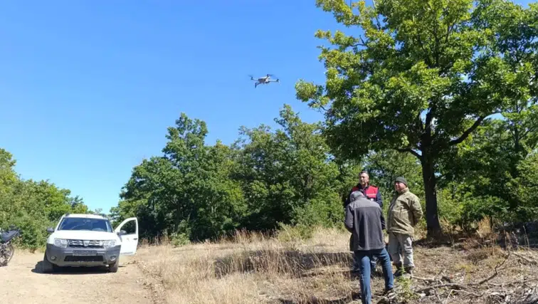 Sultandağı’nda 9 büyükbaş bir haftadır kayıptı: Ekipler dronla buldu