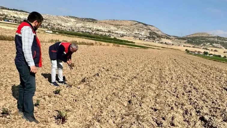 Bolvadin’de tarım arazileri için sahada detaylı inceleme