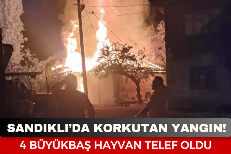 Sandıklı’da korkutan yangın: 4 büyükbaş hayvan telef oldu