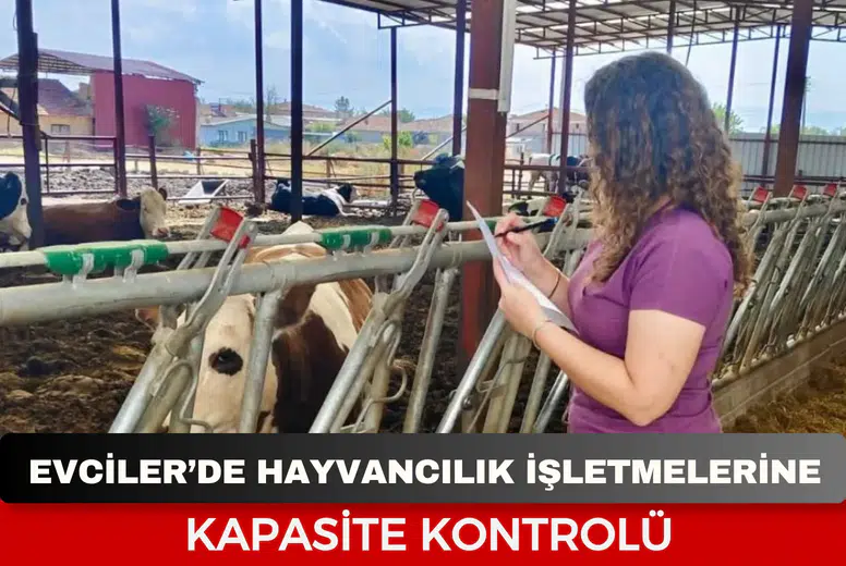 Evciler’de hayvancılık işletmelerine kapasite kontrolü