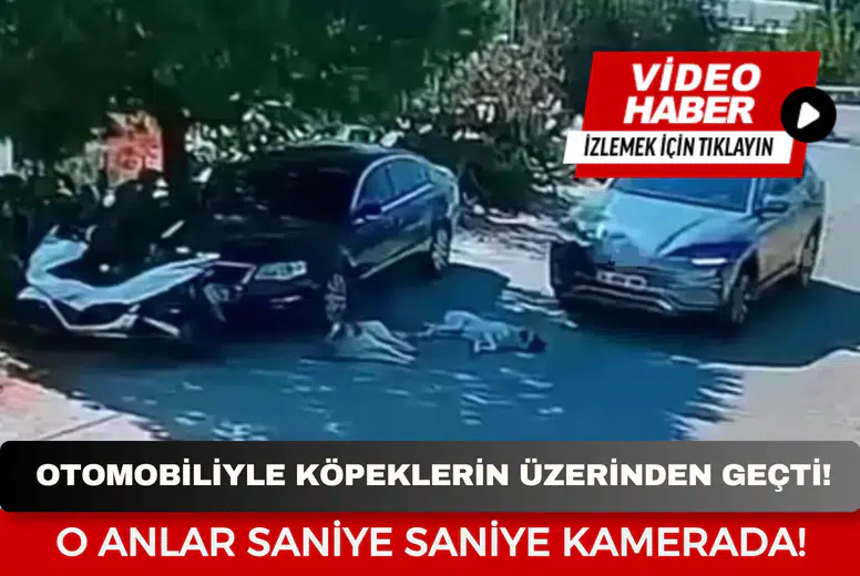 Otomobiliyle köpeklerin üzerinden geçti: O anlar saniye saniye kamerada!