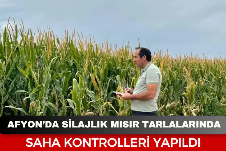 Afyon’da silajlık mısır tarlalarında saha kontrolleri yapıldı