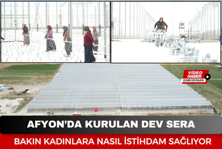 Afyon'da kurulan dev sera bakın kadınlara nasıl istihdam sağlıyor