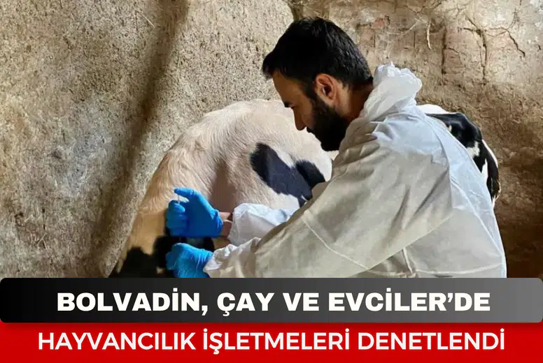 Bolvadin, Çay ve Evciler’de hayvancılık işletmeleri denetlendi