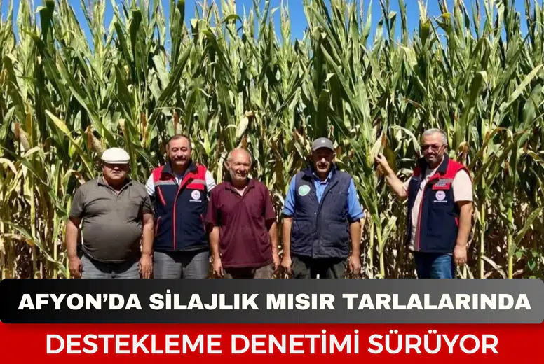 Afyonkarahisar’da silajlık mısır tarlalarında destekleme denetimi
