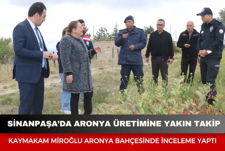 Sinanpaşa’da aronya üretimine yakın takip: Kaymakam Miroğlu aronya bahçesinde inceleme yaptı