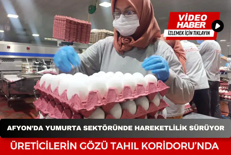 Üreticilerin gözü Tahıl Koridoru’nda