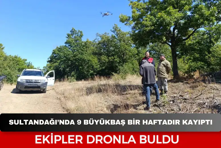 Sultandağı’nda 9 büyükbaş bir haftadır kayıptı: Ekipler dronla buldu