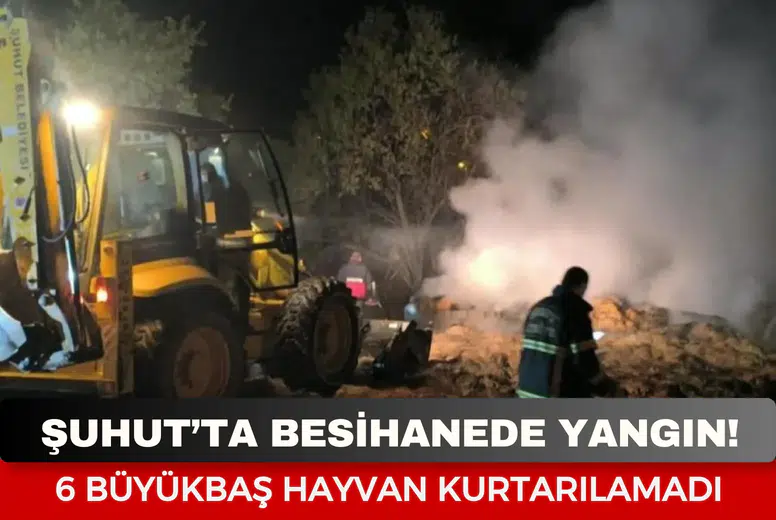 Şuhut’ta besihanede yangın: 6 büyükbaş hayvan kurtarılamadı