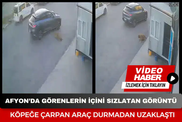 Afyon'da görenlerin içini sızlatan görüntü: Köpeğe çarpan araç durmadan uzaklaştı