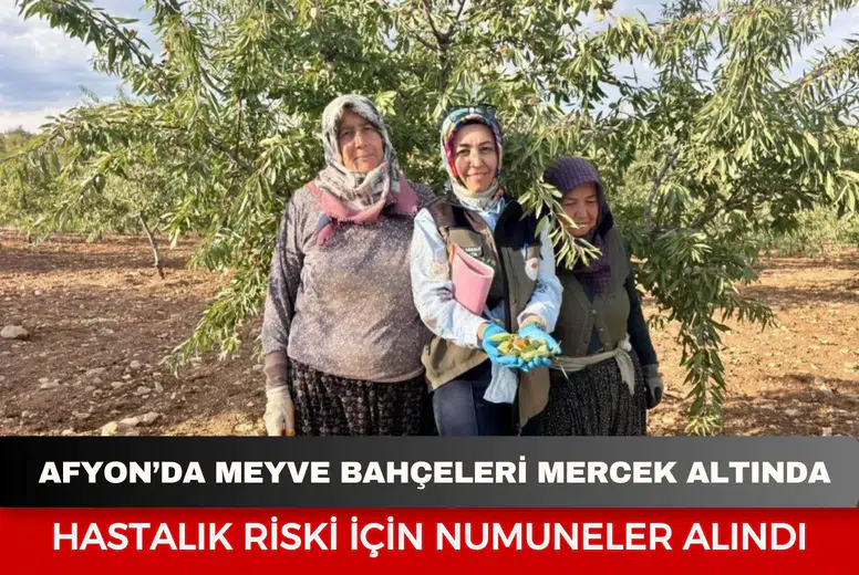 Afyon’da meyve bahçeleri mercek altında: Hastalık riski için numuneler alındı