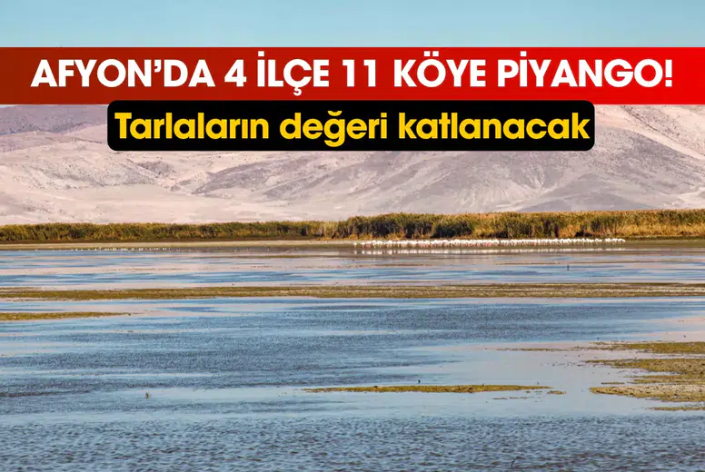 Afyonkarahisar'ın 3 ilçesinde o köylerde yaşayanlara piyango vurdu! Tarlaların değeri katlanacak