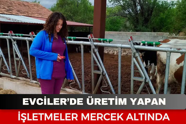 Evciler’de üretim yapan işletmeler mercek altında